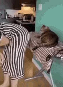 bite butt gif|Biting GIFs .